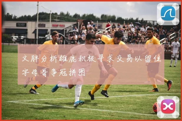文胖分析雄鹿积极寻求交易以留住字母哥争冠拼图