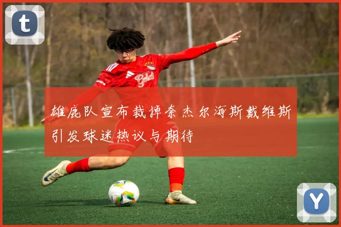 雄鹿队宣布裁掉奈杰尔海斯戴维斯引发球迷热议与期待