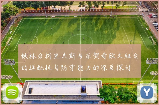 铁林分析里夫斯与东契奇欧文组合的适配性与防守能力的深度探讨